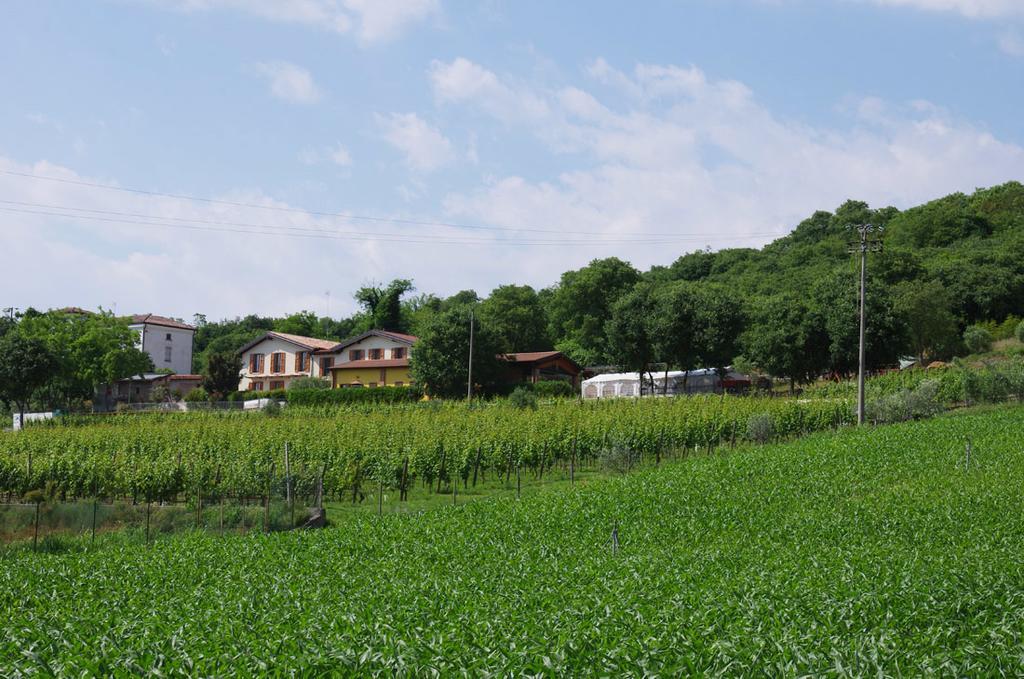 Agriturismo Casa Villi 솔페리노 외부 사진